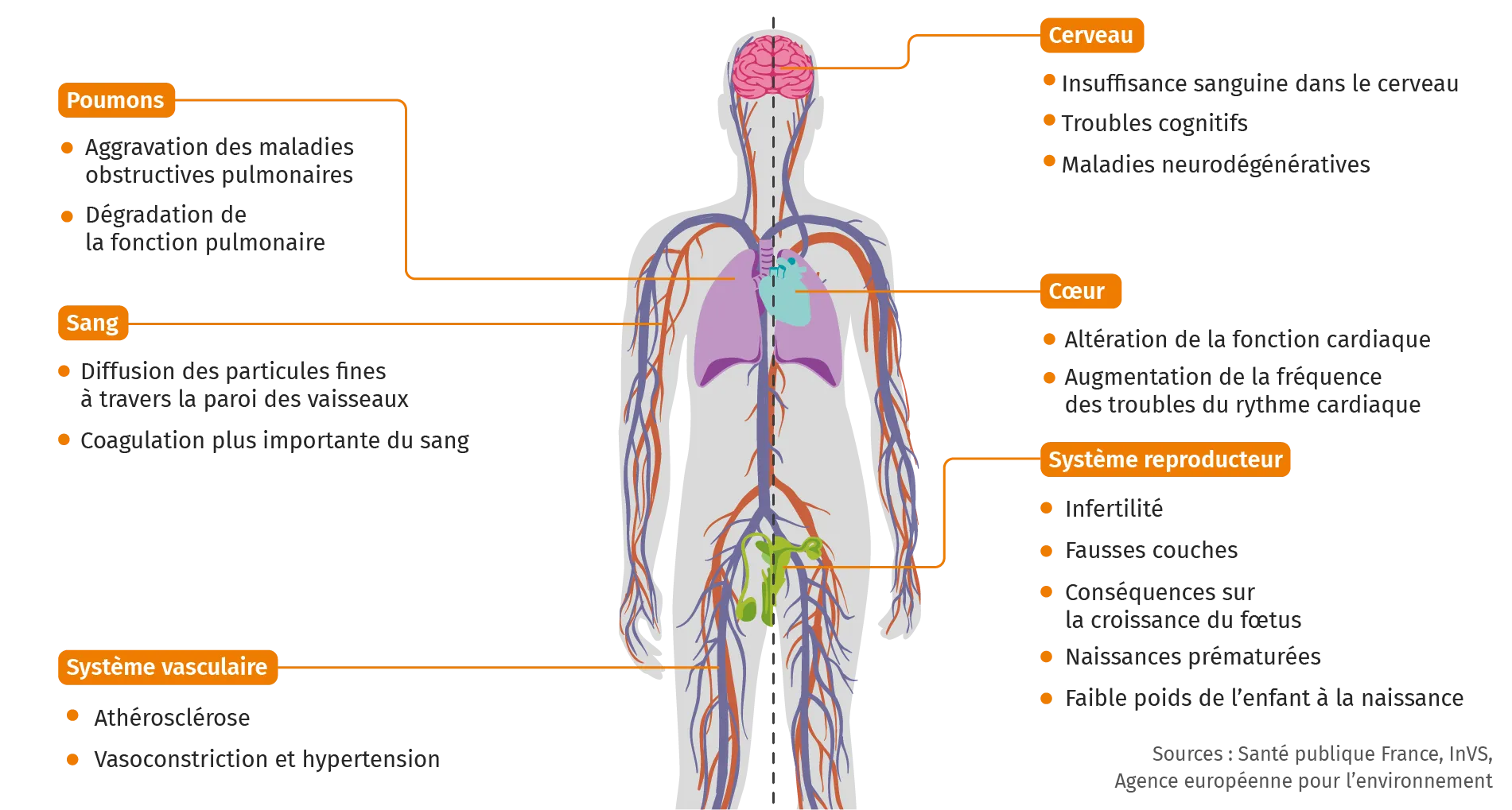 Effets de la pollution sur la santé