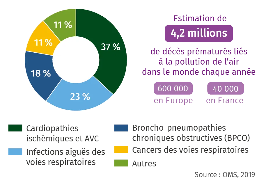 Épidémiologie et pollution de l'air