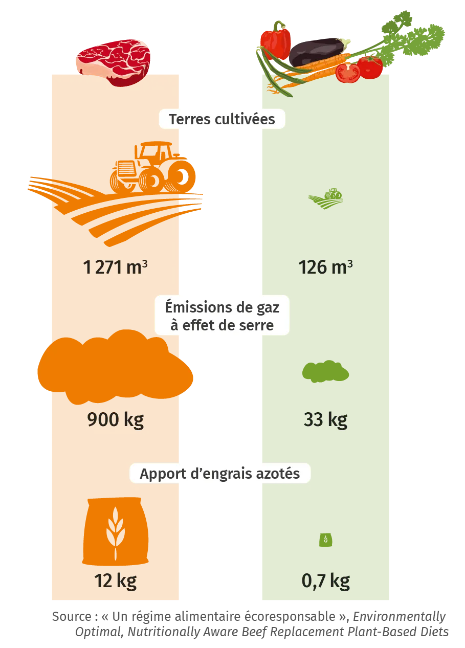 Comparaison entre de la viande bovine et des végétaux pour un même apport calorique