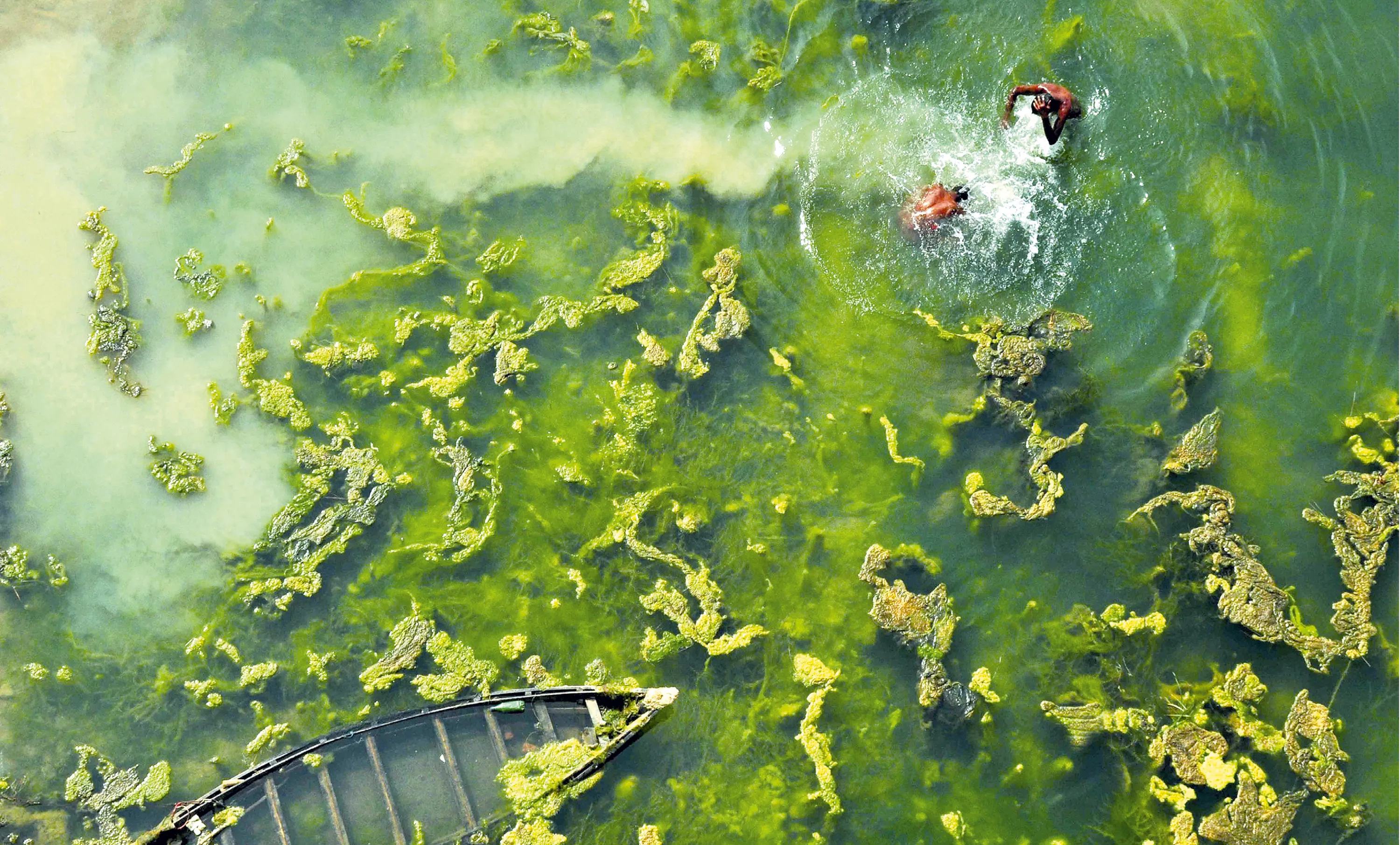 Deux humains dans une rivière
eutrophisée, à l'ouest du Bengale (Inde).