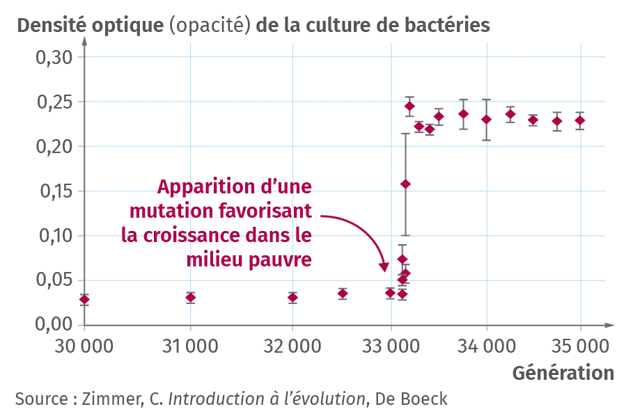 Graphique de la mutation et adaptation au milieu