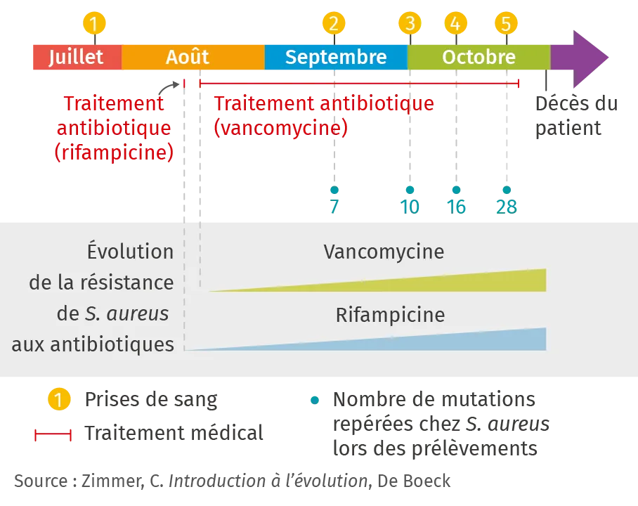 est10inf35-v3.png