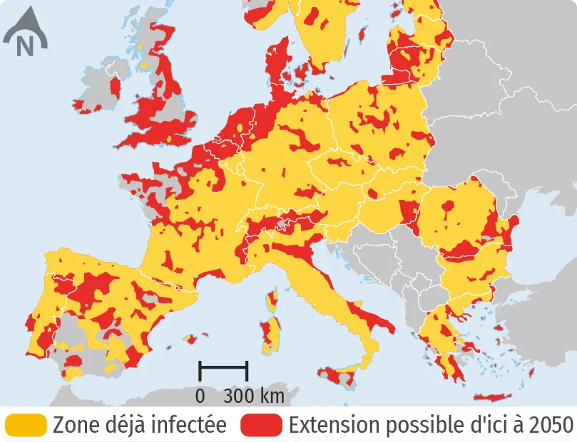 Changement climatique et incidence
sur la maladie de Lyme