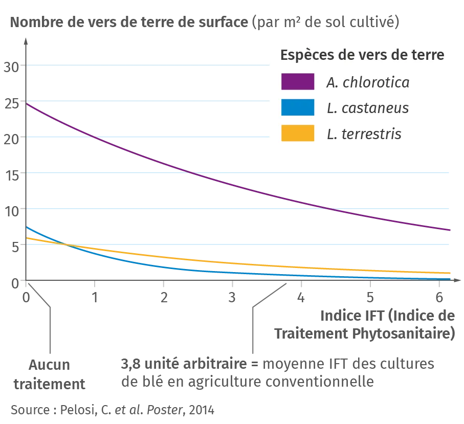 Évolution du nombre de vers de terre en fonction des traitements
phytosanitaires