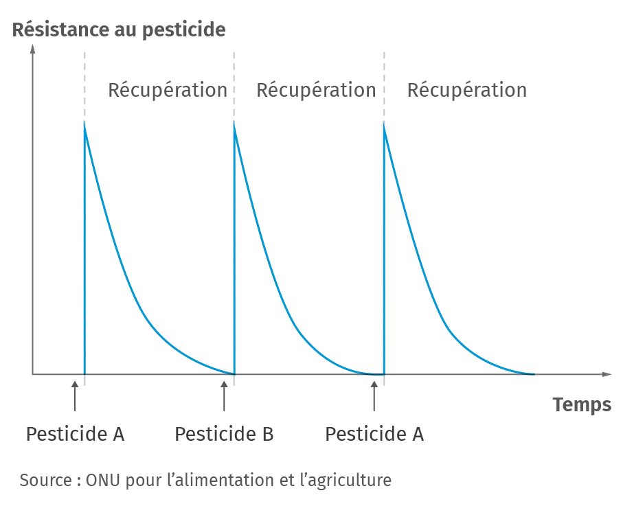 Évolution de la résistance aux pesticides au cours du temps
