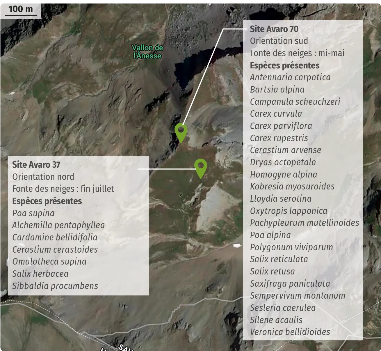 Comparaison des espèces trouvées par l'étude de quadrats au col du Galibier (Alpes)