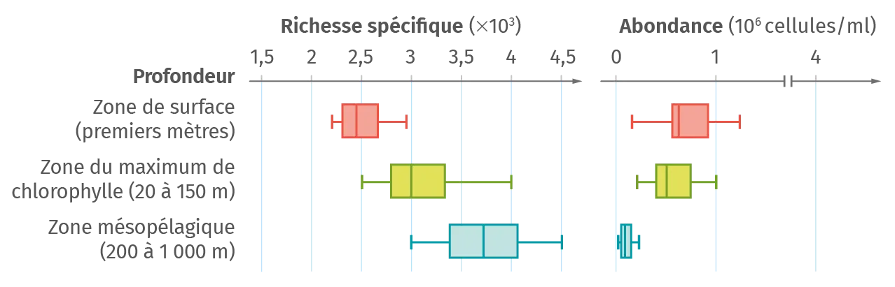 Richesse spécifique et abondance en fonction de la profondeur