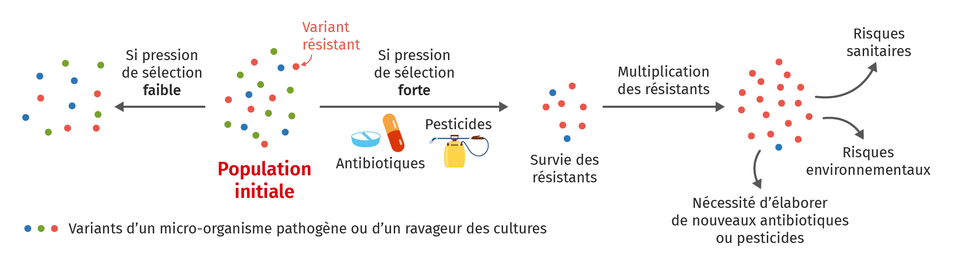 Schéma bilan du Ch. 8