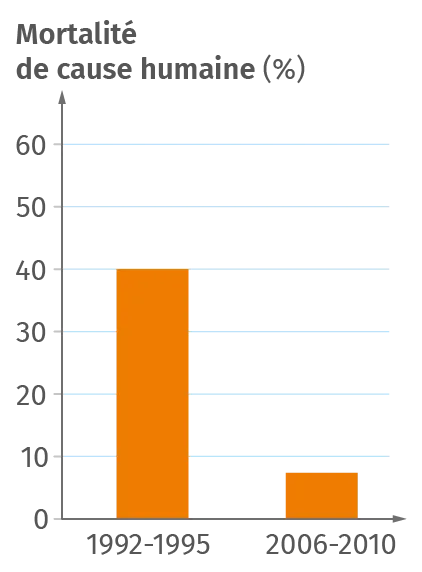 Mortalité de cause humaine