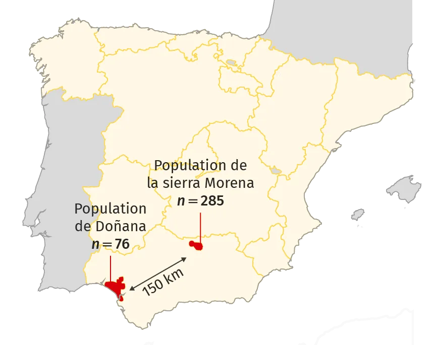 Localisation des populations de lynx ibériques en 2003