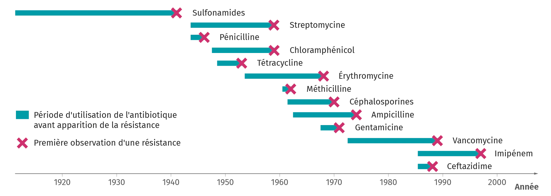 Utilisation des antibiotiques et apparition des antibiorésistances