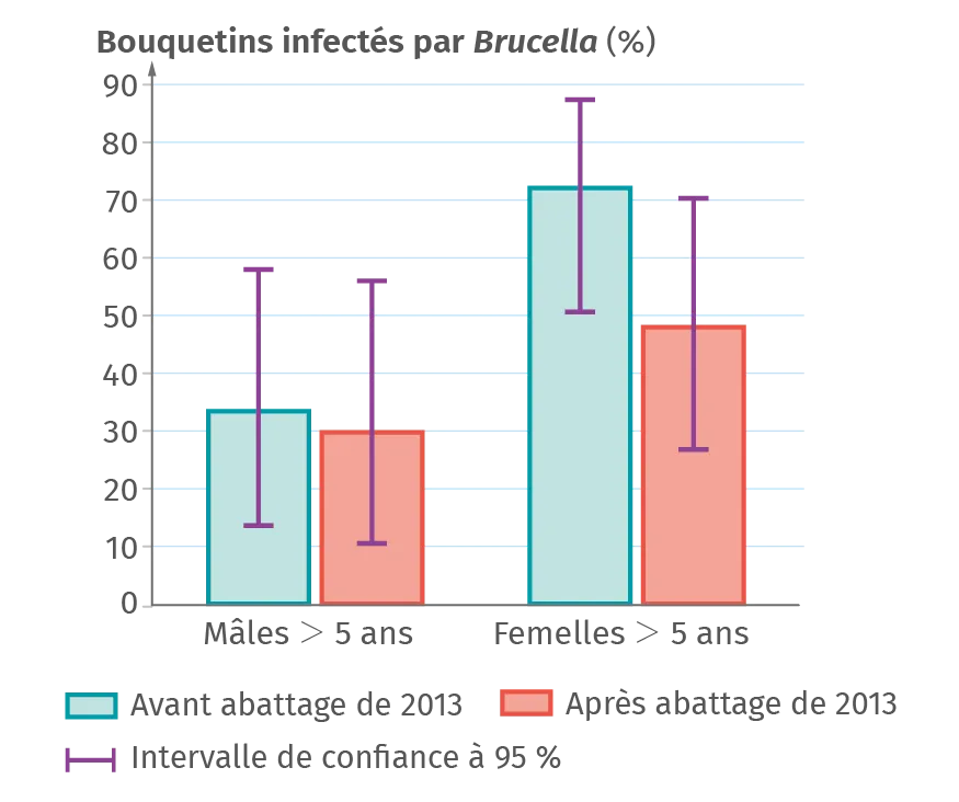 Graphique de la mesure de la prévalence de l'infection par Brucella avant et après l'abattage de 2013