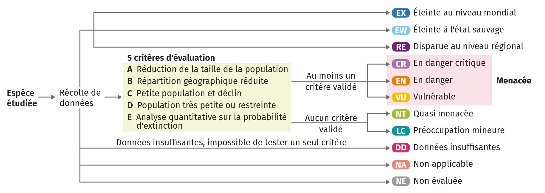 Schéma de la liste rouge mondiale des espèces menacées