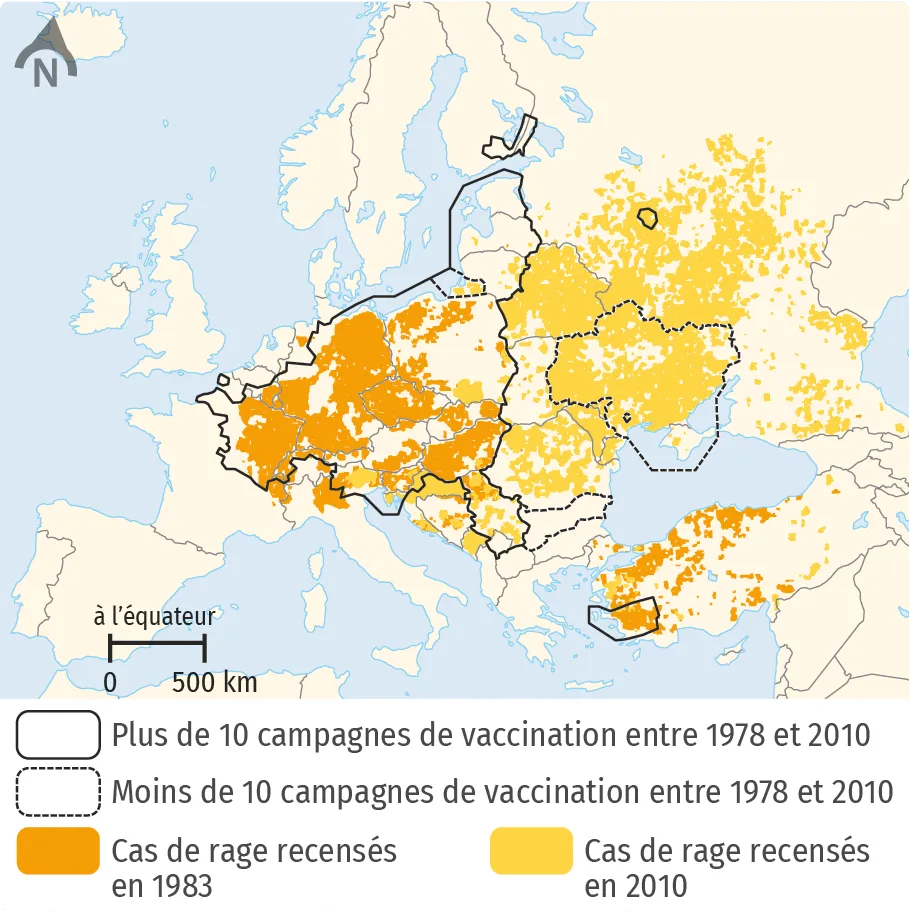 Campagnes d'élimination de la rage en Europe.