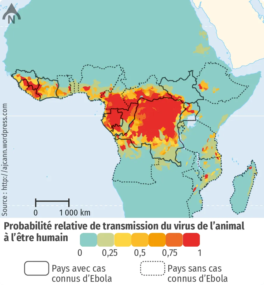 Distribution géographique prédite des chauves-souris
fructivores, réservoir du virus Ebola.