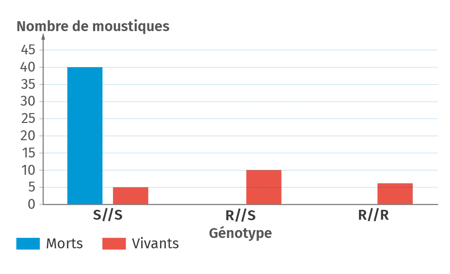 Résultats de l'exposition de 61 moustiques au malathion
recensés au Maroc