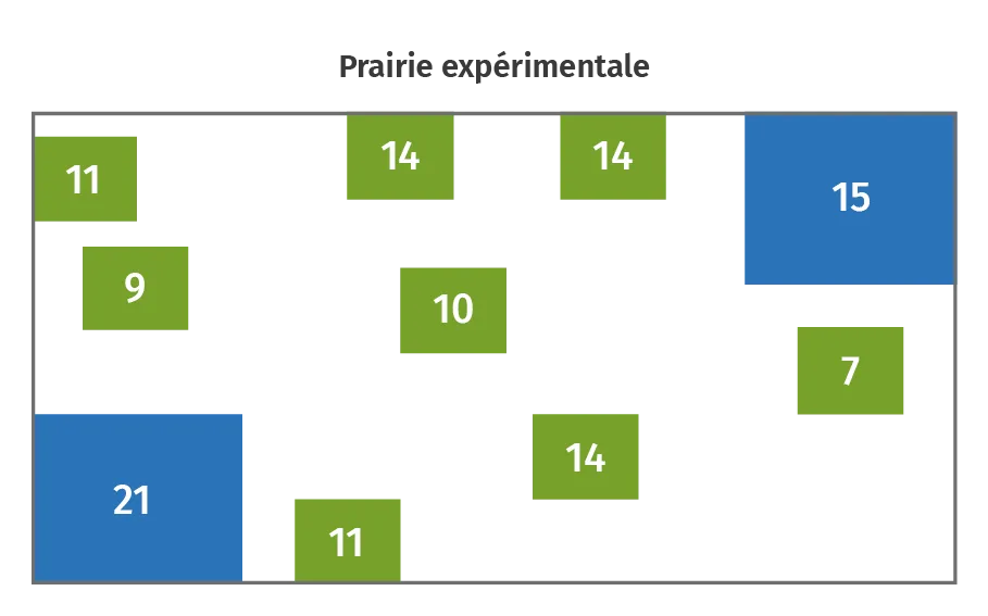 Protocole expérimental de Robinson et Quinn.