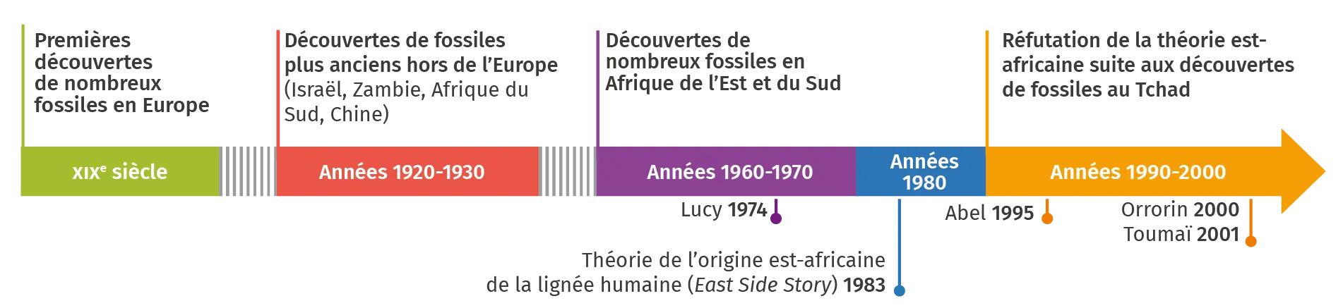 Frise chronologique des découvertes de quelques fossiles