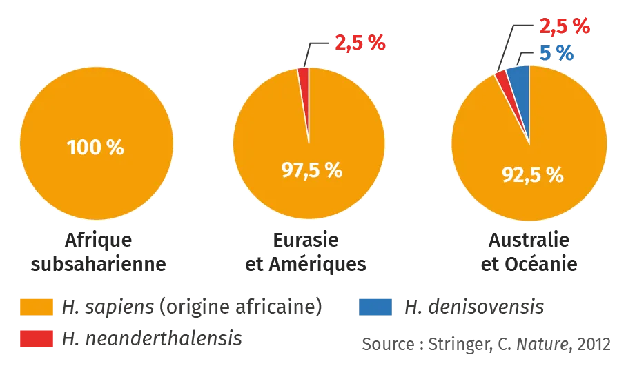 Origines du génome des humains actuels selon la région du monde