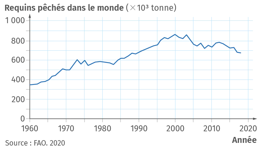 Nombre de requins pêchés dans le monde entre 1960
et 2018