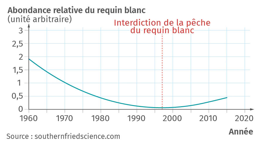 État des populations de requin blanc entre 1960 et 2015