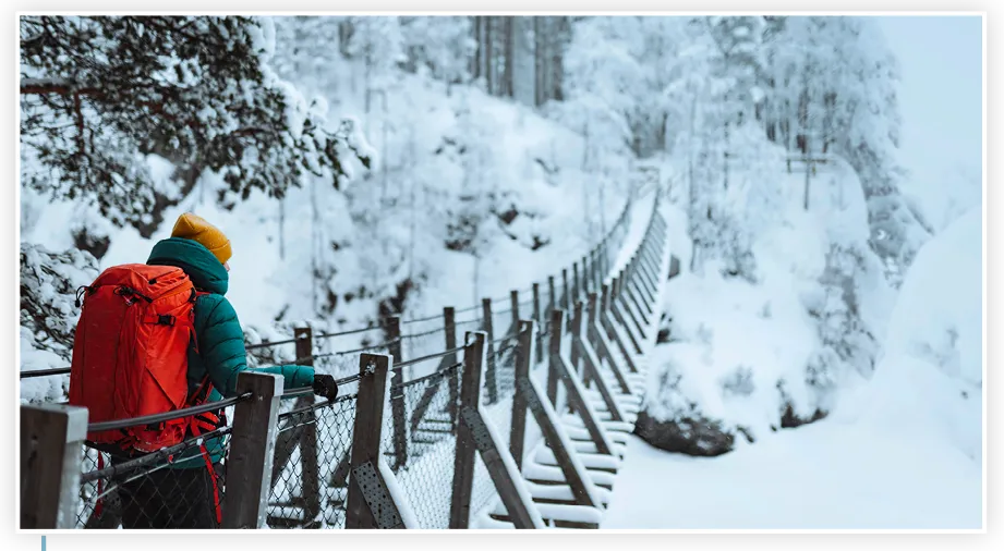 Pont suspendu dans une forêt en Finlande.