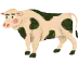 vache