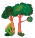 forêt