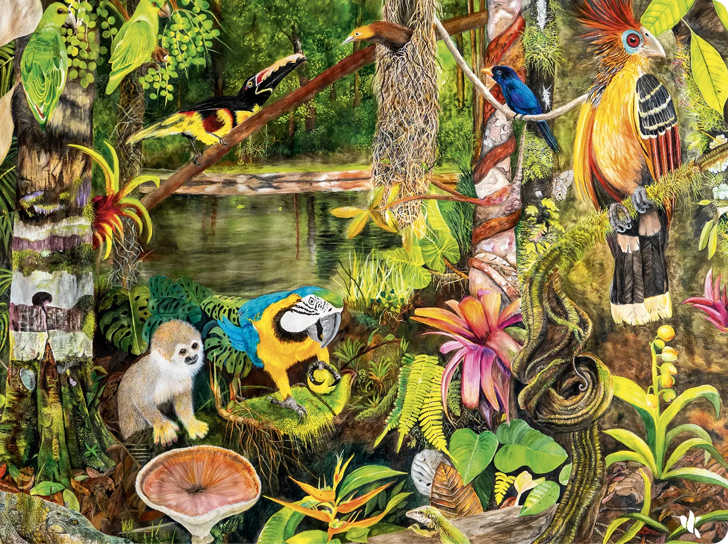 Victoria Restrepo, El Amazonas, hogar del hoatzin, 2023.