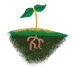terre