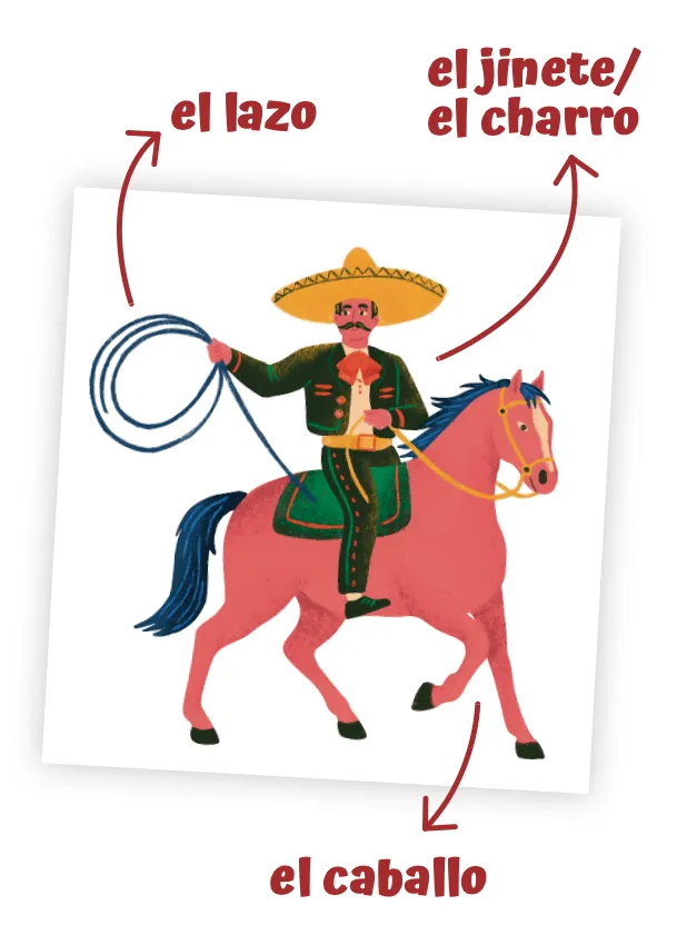 vocabulaire du charro