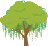 ahuehuete