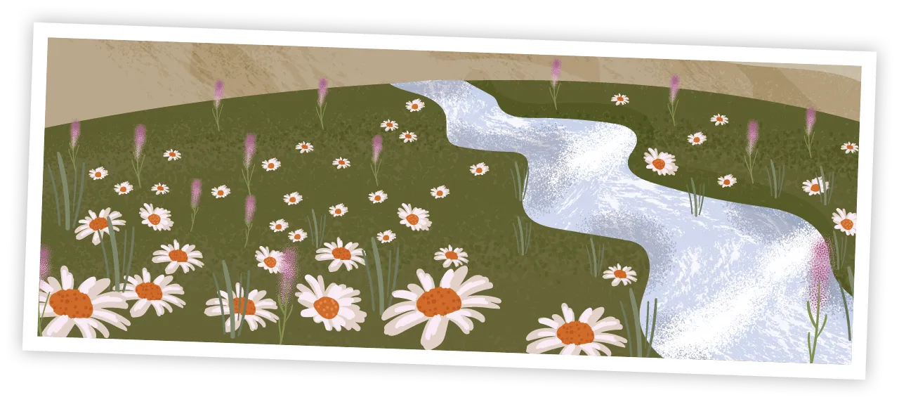 rivière et fleurs