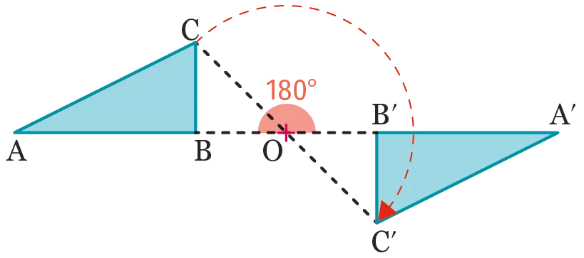 fig1
