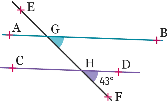 fig.M3