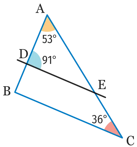 ex29