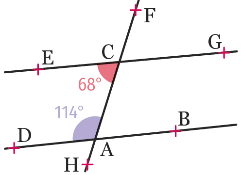 ex.61