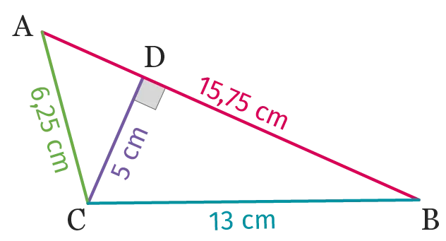 ex.41