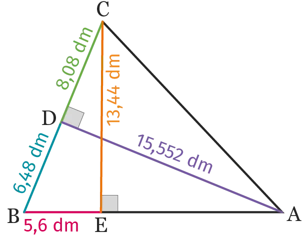 ex.41