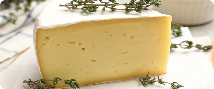 Morceau de fromage