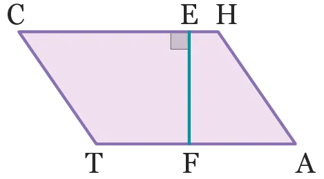 ex.36
