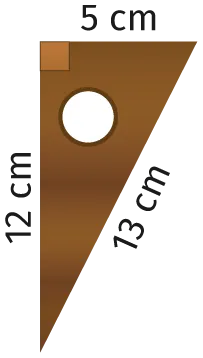 ex.69