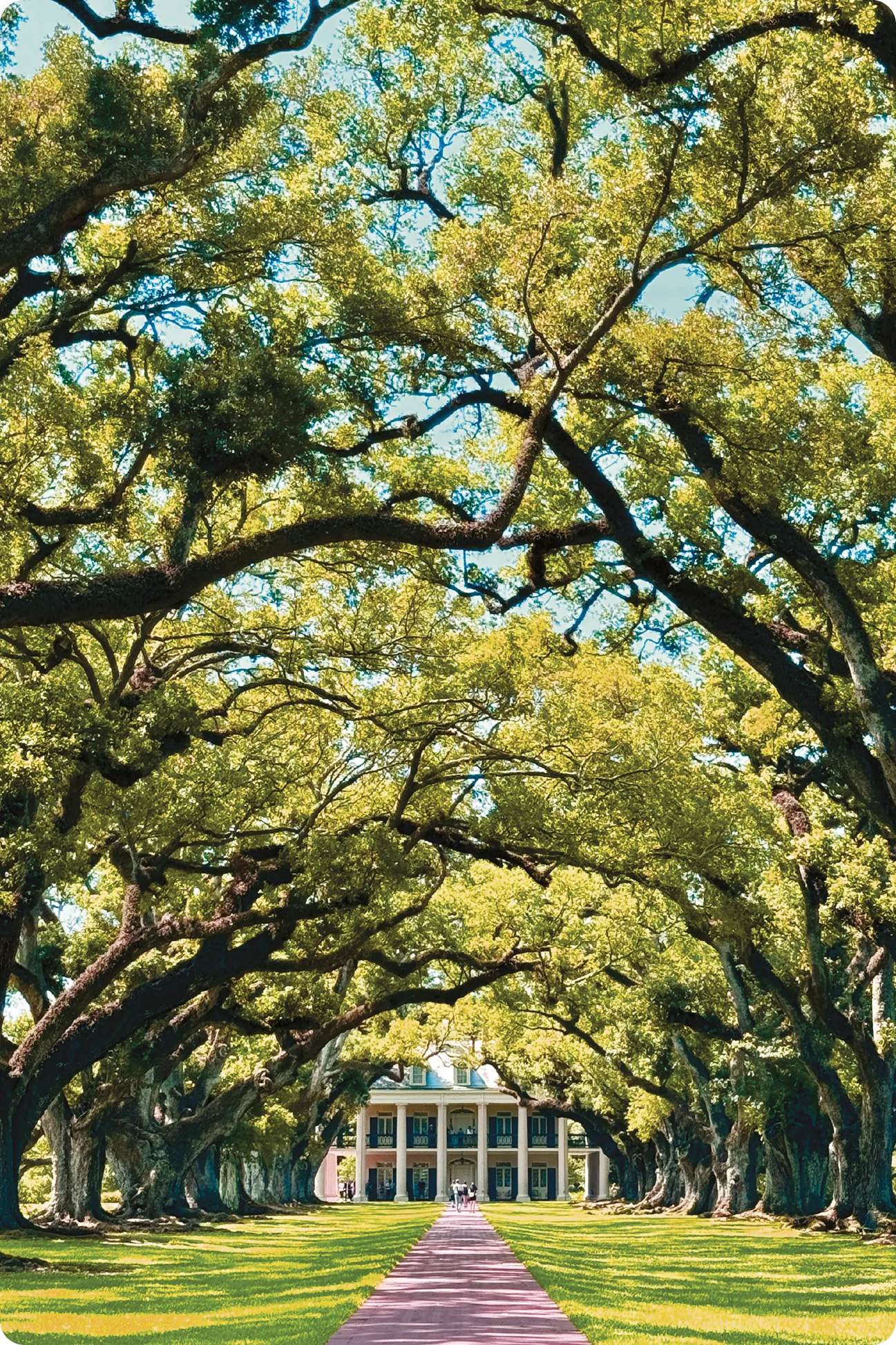 Oak Alley Plantation, Vacherie, Louisiana.
