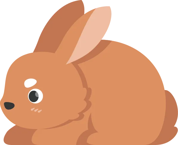 conejo