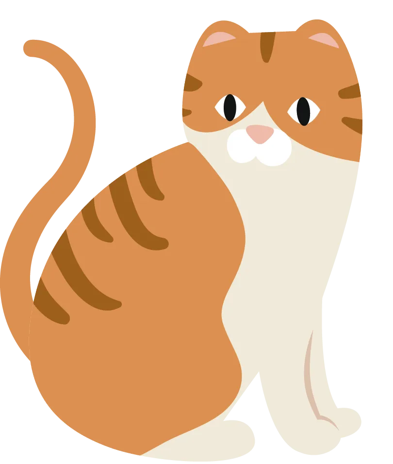 gato