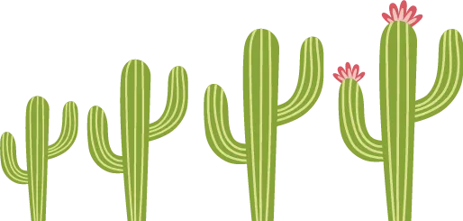 3cactus 