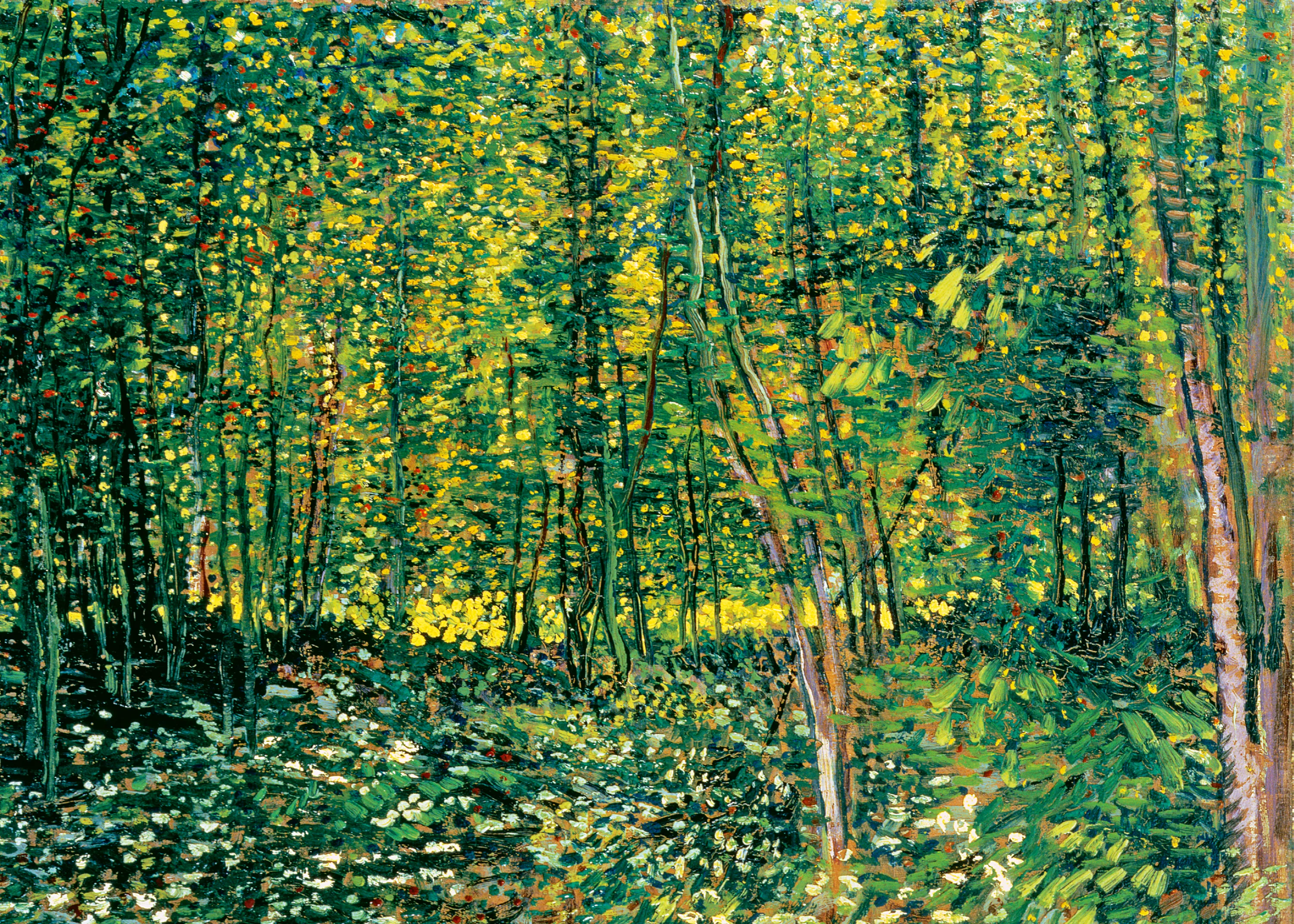 Peinture à l'huile de Van Gogh : sous-bois lumineux, arbres verts et jaunes, végétation fleurie au sol.