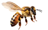 angwb57act1bee-retouchee-det.webp