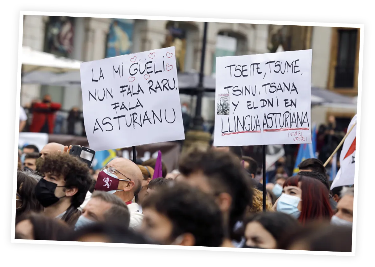 Manifestación organizada por la Xunta pola Defensa de la Llingua
Asturiana a favor de la oficialidad de dicho idioma en Oviedo, 2021.
Traducción de los carteles: «Mi abuela no habla raro, habla
asturiano». «Leche, fuego, lino, lana y el DNI en lengua asturiana».