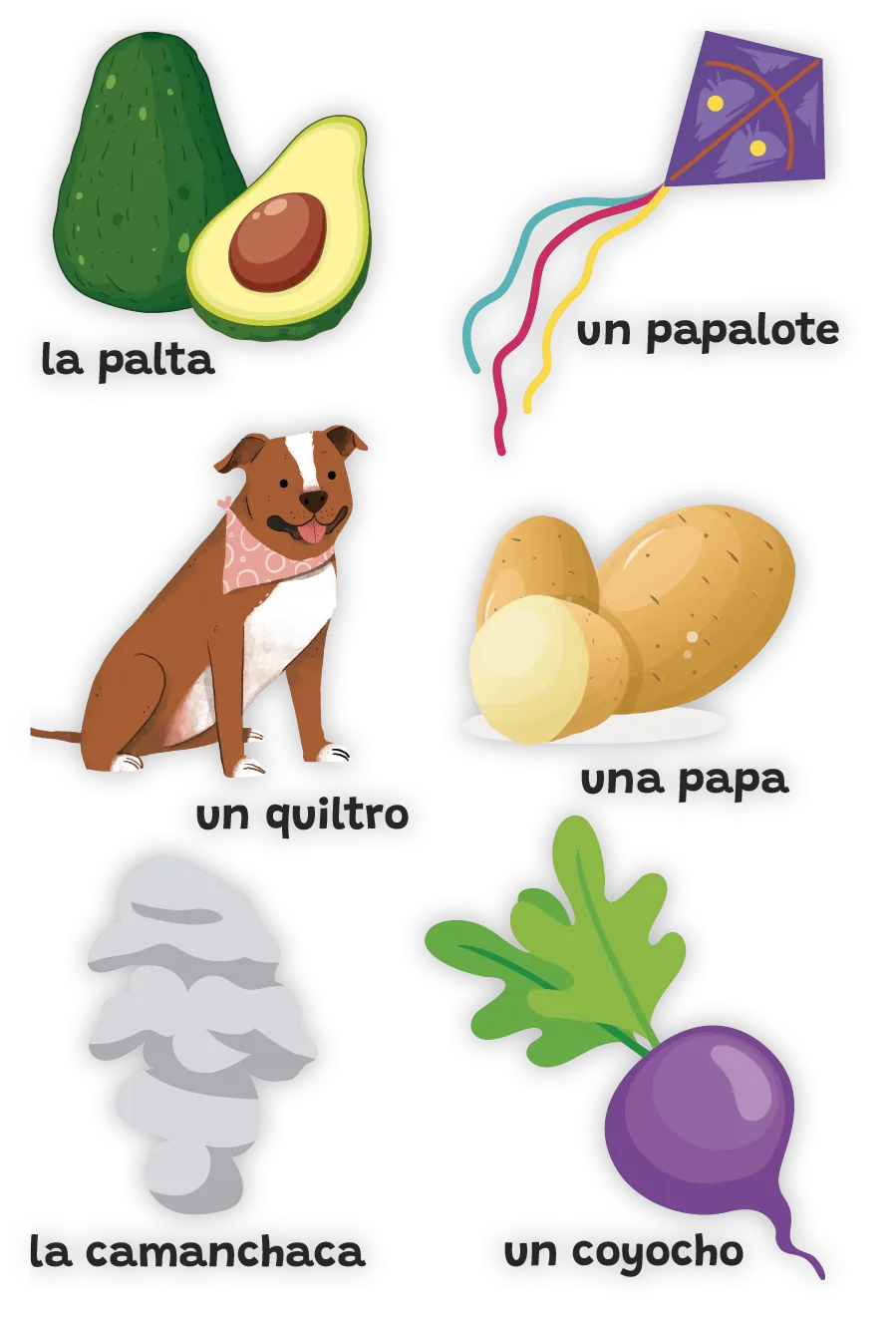 la palta, un papalote, un quiltro, una papa, la camanchaca, un coyocho